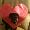 myname1simmy