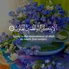 user7151078393386