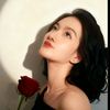 setiabidawi8