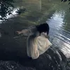 sll__wg