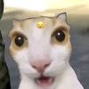 gatau_sukasukasaya