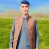 kamash608