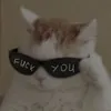 Jeims on dnd