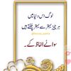 muhammadfaisalm493