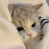 sweetly_wa01
