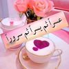 user801082067404