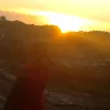 elayferraz5