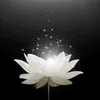hien.le4613