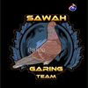 SWG TEAM