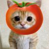 tisya_744