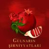 beyleqan_tort_zakazlari