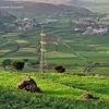 ashgar.mattar