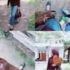 aprillia0402