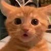 james_sexbomb321