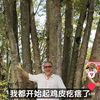 yi.qun