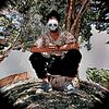 user3323986681910