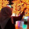asszahra8