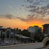 lucy_lucy2466