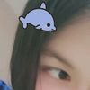 dkdbeldk97