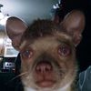 user381112_