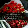 user634333285048