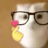 tylsvsx1