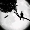 ibrahem123ab