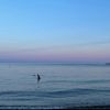 .milless_