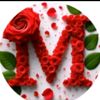 user7067197412581