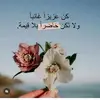 bbss5553
