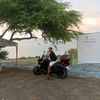 elgatotom27484