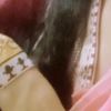 arzoo.g18