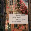 alhassansalah7