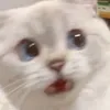 malyarixx