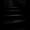 zn_zo0