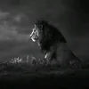 al_jasem1
