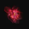 el_clyvia