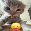 tinkiminkie