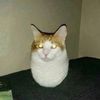 george_17