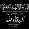 user84908149916197