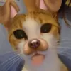 tinalipse