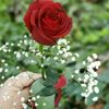 farhad.javaheri