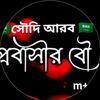 dinislam7642