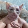 craigoryjohnson0