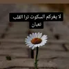 user639yaj36bt