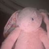 realaggie9804