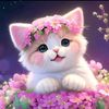 kakcomel22