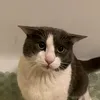 madddogg0416