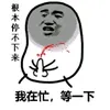 chim_lung48