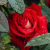 m.taha0347